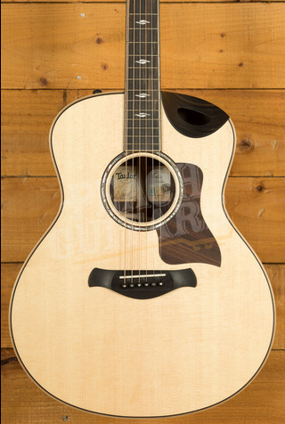 Taylor 800 Series | Builder's Edition 816ce