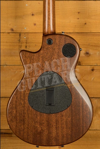 Taylor T5z Series | T5z Classic