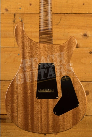 PRS Wood Library Custom 24 | Aquamarine - Left-Handed