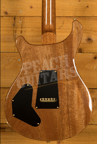 PRS DGT Aquamarine 10 Top w/Moons