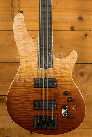 Schecter Bass SLS Elite-4 | Antique Fade Burst