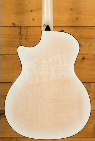 Taylor 50th Anniversary Collection | 614ce LTD