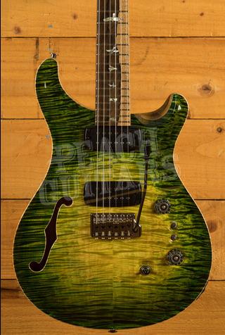 PRS Private Stock | Custom 24-08 Semi Hollow - Rainforest Glow