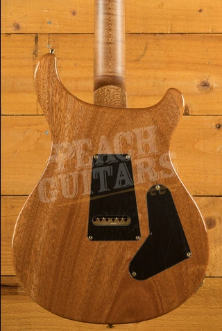 PRS Wood Library Custom 24 | Custom Colour River Blue - Left-Handed