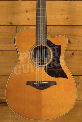 Yamaha A Series | AC1M - Vintage Natural