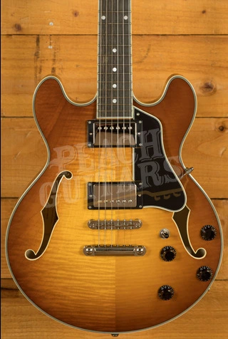 Eastman Truetone Gloss T484-GB | Goldburst