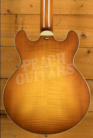 Eastman Truetone Gloss T484-GB | Goldburst