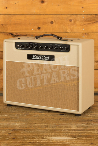 Bad Cat Jet Black | 38-Watt Combo - Custom Colour Buttercream Bronco