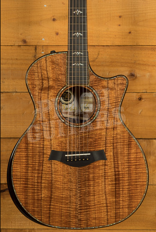 Taylor 50th Anniversary Collection | 924ce-K LTD & Circa 74 Amp