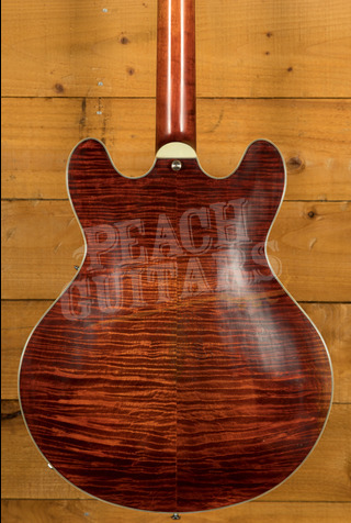 Eastman Antique Varnish Thinline Series | T59/v - Antique Classic