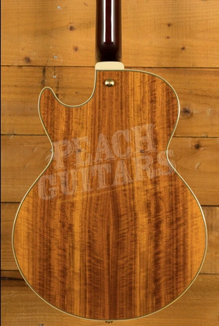 Ibanez AG Artcore Expressionist | AG95K - Natural