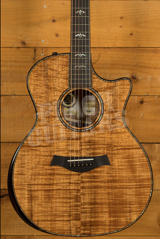 Taylor 50th Anniversary Collection | 924ce-K LTD & Circa 74 Amp