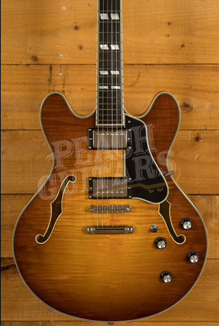 Eastman Truetone Gloss Thinline Series | T486-GB - Goldburst 