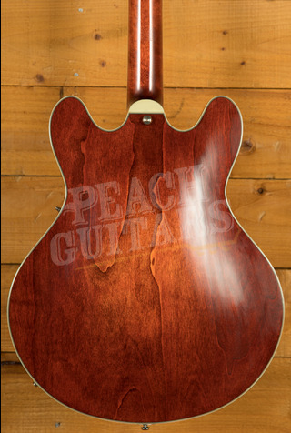 Eastman Truetone Vintage Gloss Thinline Series | T64/TV-T - Classic