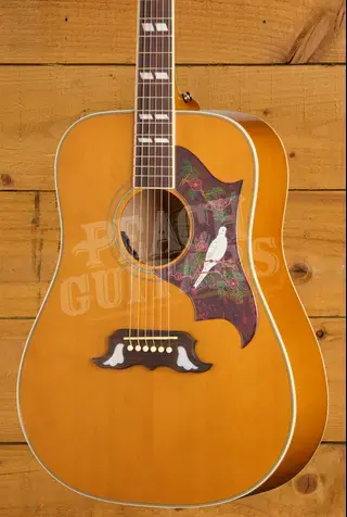 Epiphone Dove Studio | Natural