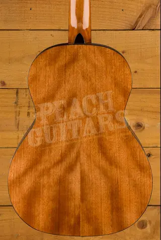 Fender CN-30 Nylon 3/4 - Walnut - Natural