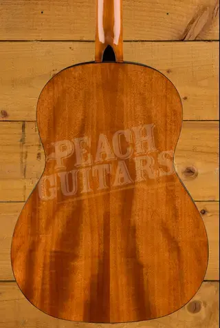 Fender CN-30 Nylon - Walnut - Natural