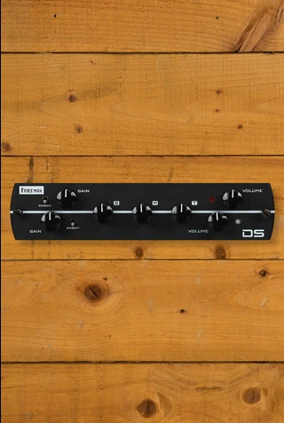 Synergy Modules | Friedman DS Preamp