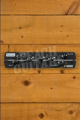 Synergy Modules | Friedman HBE Preamp