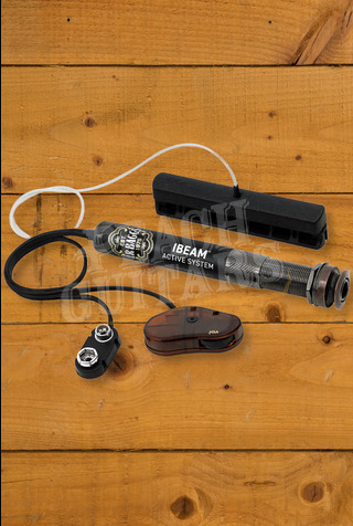 LR Baggs Pickup Systems | iBeam Active