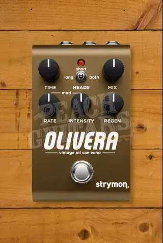 Strymon Olivera | Vintage Oil Can Echo