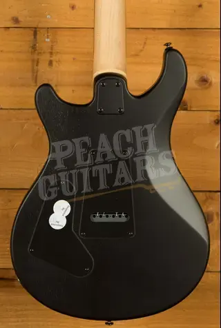 PRS SE CE | CE24 Sandblasted Green