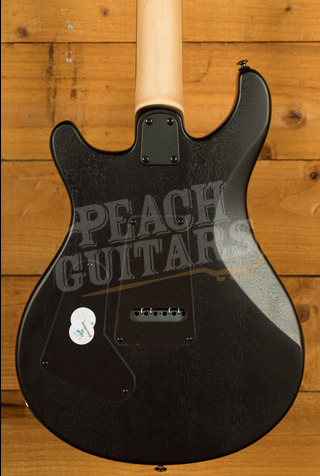 PRS SE CE | CE24 Sandblasted White