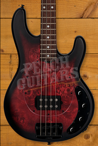 Sterling RAY34PB StingRay Bass - Burled Dark Scarlet Burst Satin