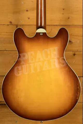 Eastman T64/v-T | Antique Goldburst