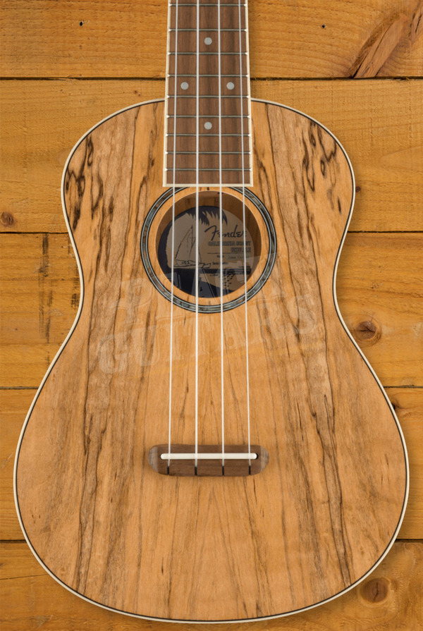 Fender Zuma Exotic Concert Ukulele Spalted Maple