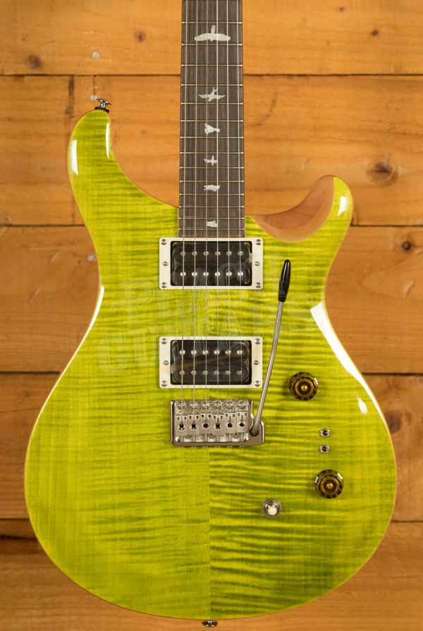 PRS SE Custom | Custom 24-08 - Eriza Verde