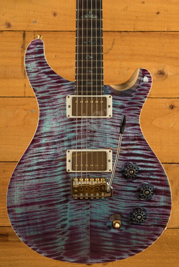 PRS Wood Library DGT Violet - All Rosewood Neck