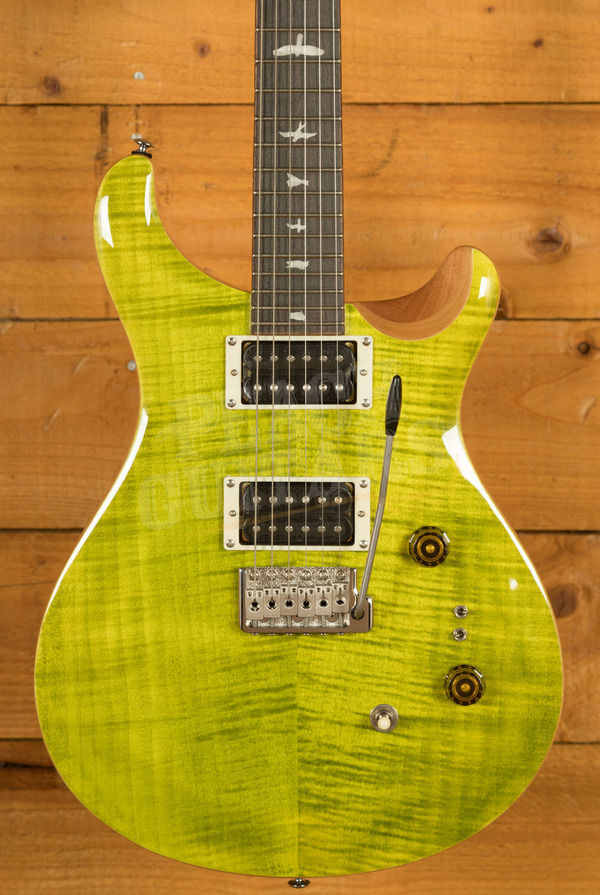 PRS SE Custom | Custom 24-08 - Eriza Verde