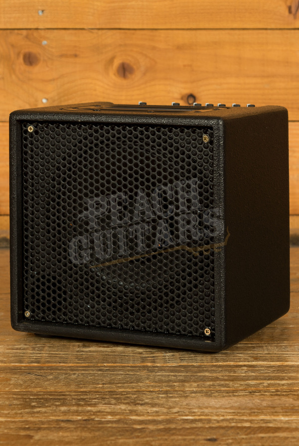 AER Alpha | 40-Watt Acoustic Combo *Used*