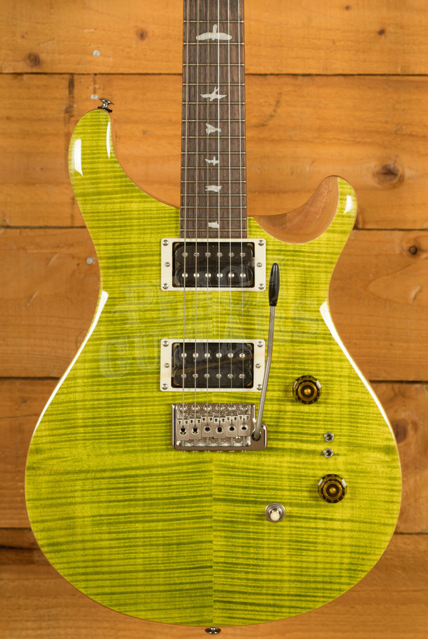 PRS SE Custom | SE Custom 24-08 - Eriza Verde