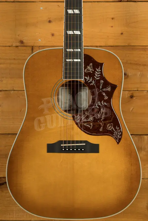 Sigma SG Series | DM-SG5 - Heritage Cherry Sunburst