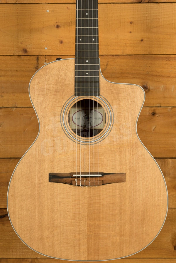 Taylor 200 Series | 214ce-N - Nylon