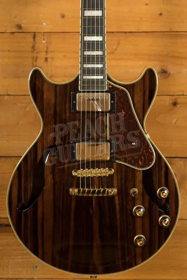 Ibanez AM93ME Artcore Expressionist Series Hollow Body - Ebony - Natural