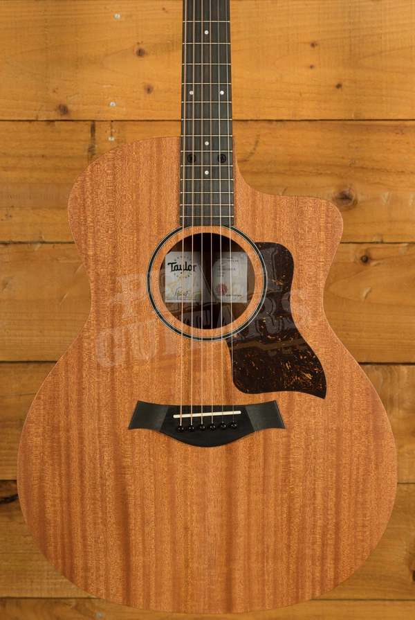 Taylor 24ce