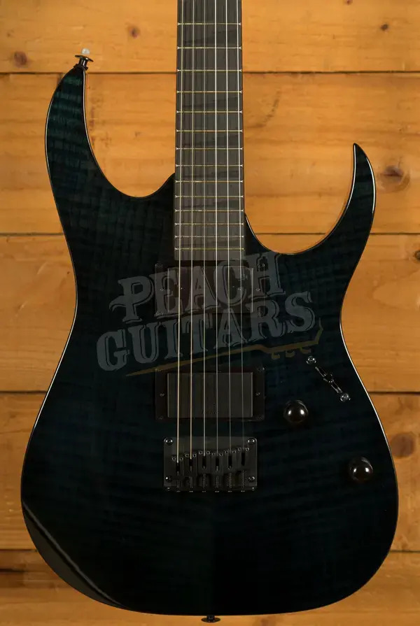 Ibanez GRGR221FA RG Series GIO - Purpleheart - Transparent Indigo Black