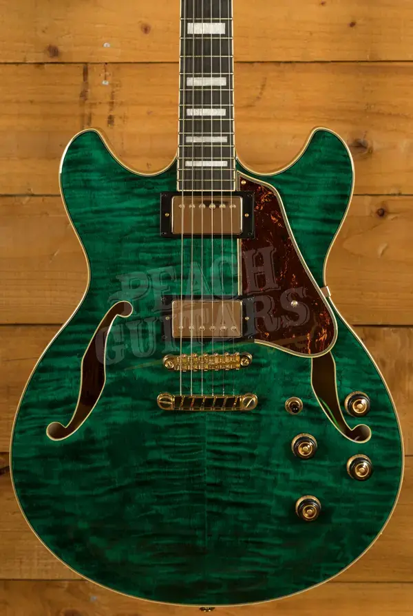 Ibanez AS Artcore Expressionist | AS93FM - Transparent Moss Green