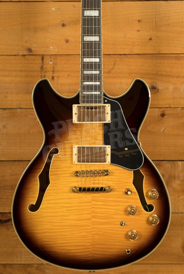 Ibanez John Scofield Signature JSM10EM | Two-Tone Burst