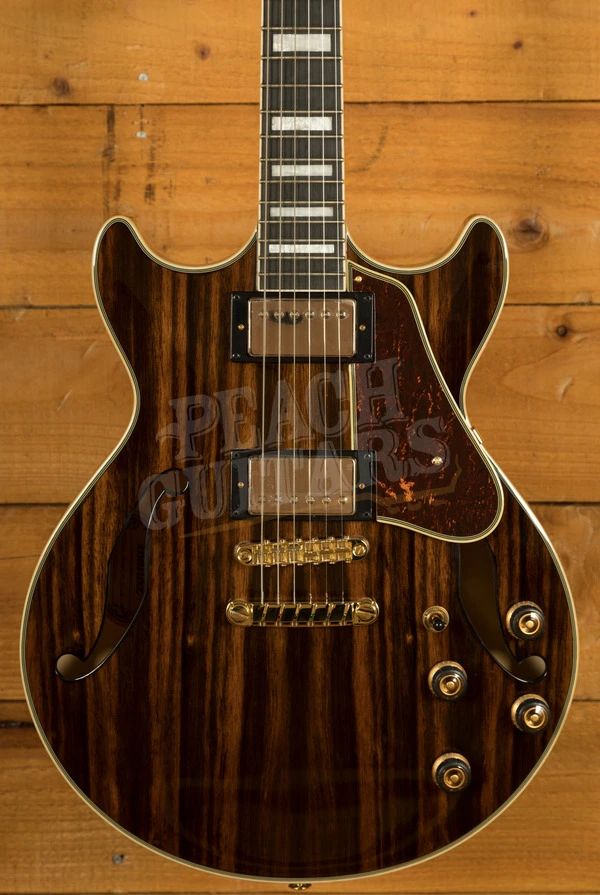 Ibanez AM Artcore Expressionist | AM93ME - Natural