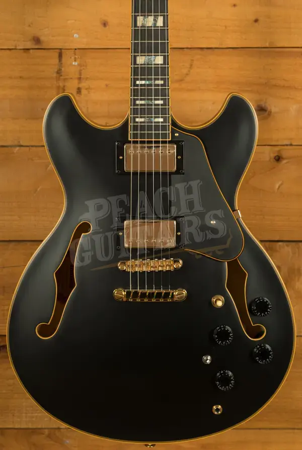 Ibanez Signature Models | JSM20 - John Scofield - Black Low Gloss