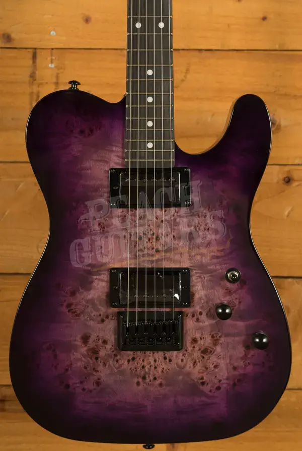 Schecter PT Standard | Purple Burst Burl