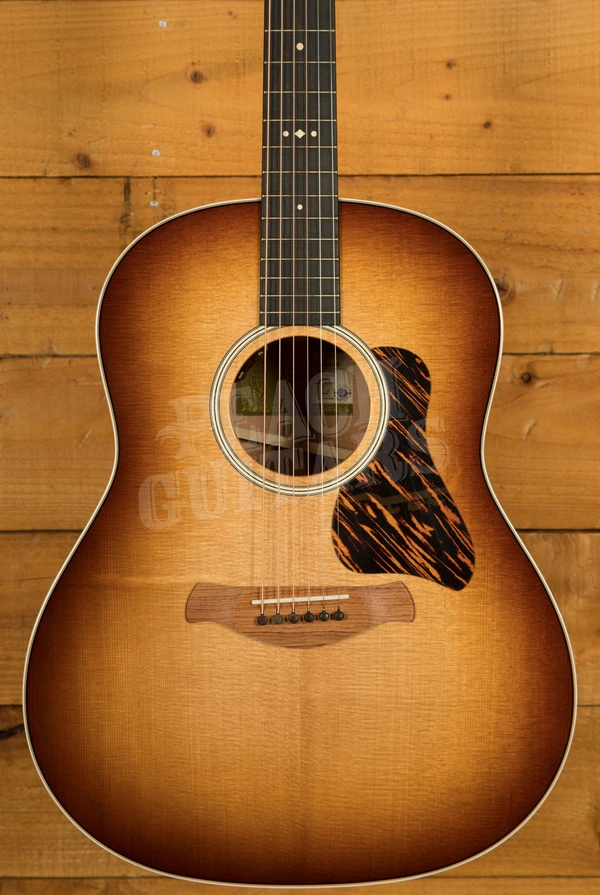 Taylor Gold Label Collection | 517e - Sunburst w/Firestripe Pickguard