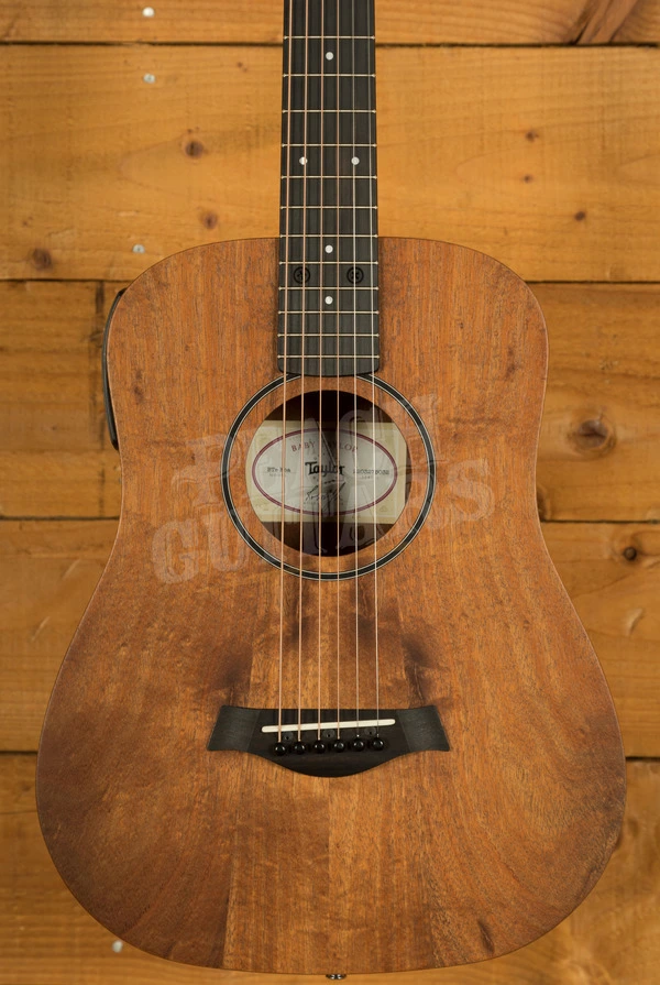 Taylor Baby Series | BTe-Koa