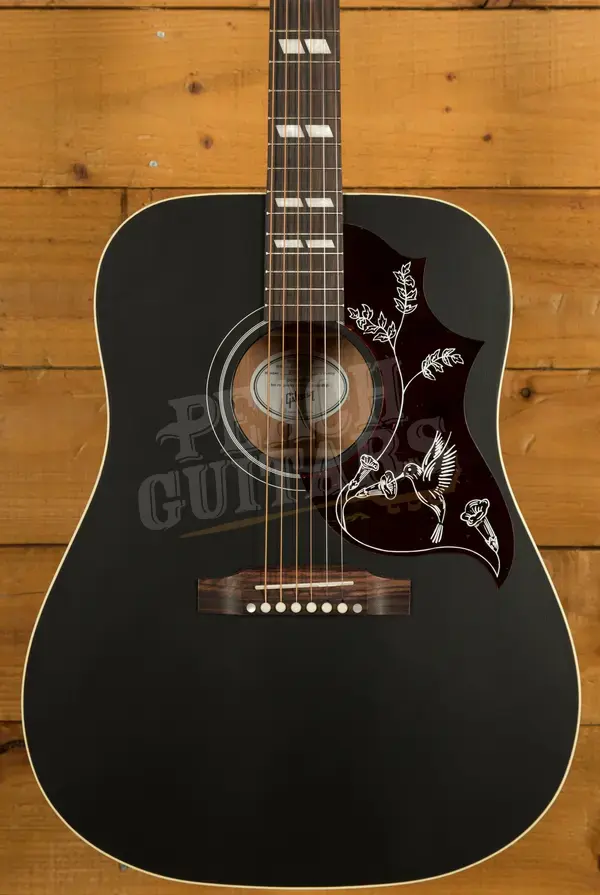 Gibson Hummingbird Special | Satin Ebony