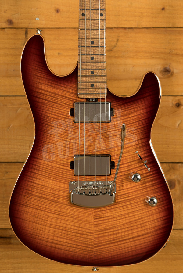 Music Man Sabre Collection | Sabre HT - Honey Bear