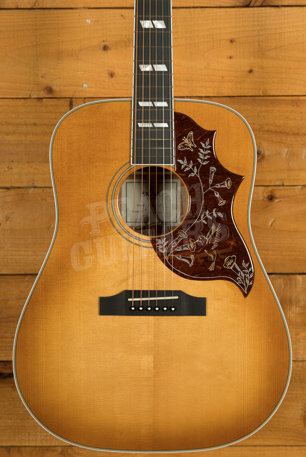 Sigma SG Series | DM-SG5 - Heritage Cherry Sunburst